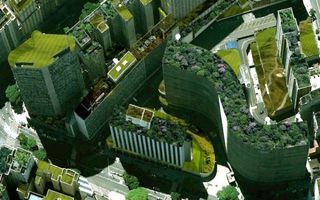 sustentabilidade-conheca-projeto-do-primeiro-telhado-verde-com-plantas-da-Mata-Atlantica